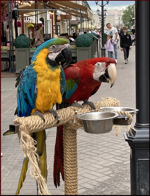 https://i.postimg.cc/zBzD1Hbw/26.jpg