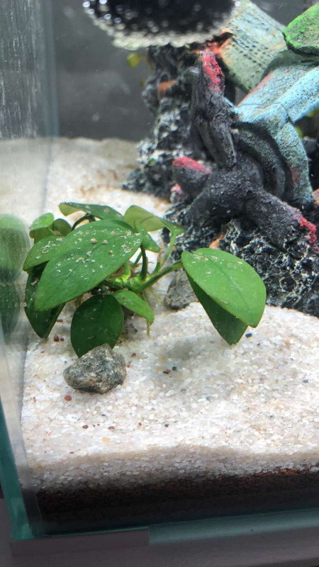 A13061F3-8B80-4CAE-B3EF-E78B9CFDFB99