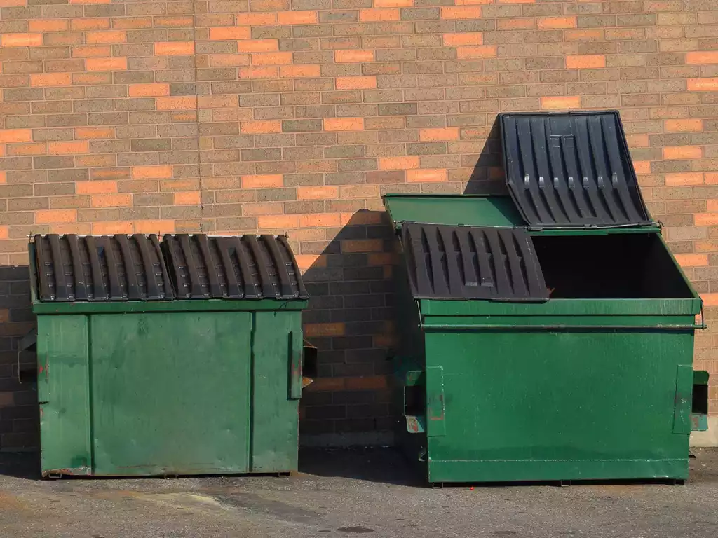 [Image: outside-dumpster-trash-garbage1.webp]