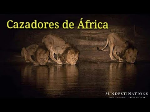 hqdefault - Cazadores de África Temporada 1
