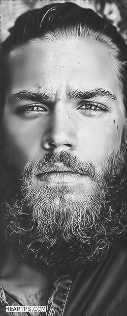 ���� ���� ������ �� ���� ������