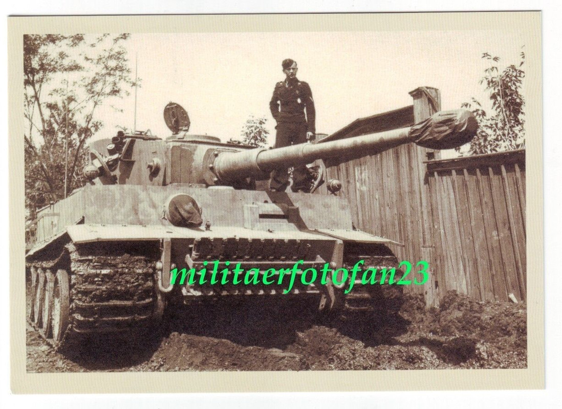 Deutscher Panzer VI (Sd.Kfz.181) Tiger in getarn