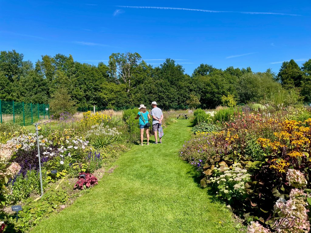 Couple-Garden-centre-HD.jpg