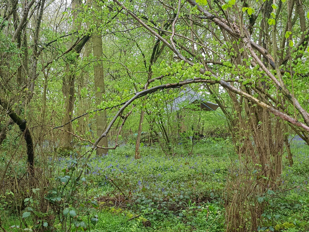 20180428_152503