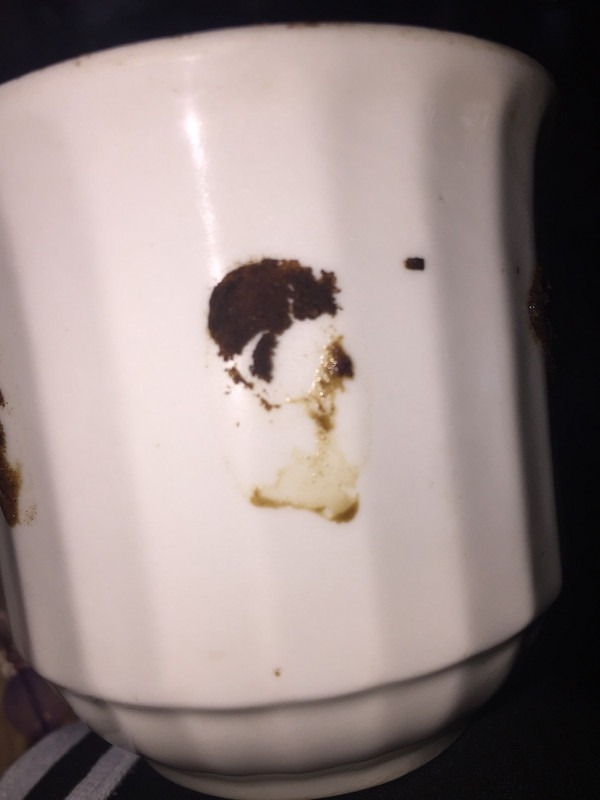 6406358D-4C86-4263-B486-B56BDFFE1B0D