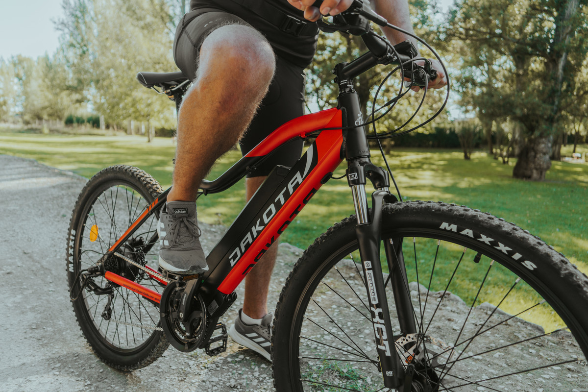 Dakota Urbanbiker Mountainbike E Bike E Mtb Onlineshop Ebikestock