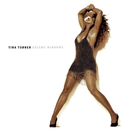Tina Turner - Steamy Windows (The Singles) (2021) MP3