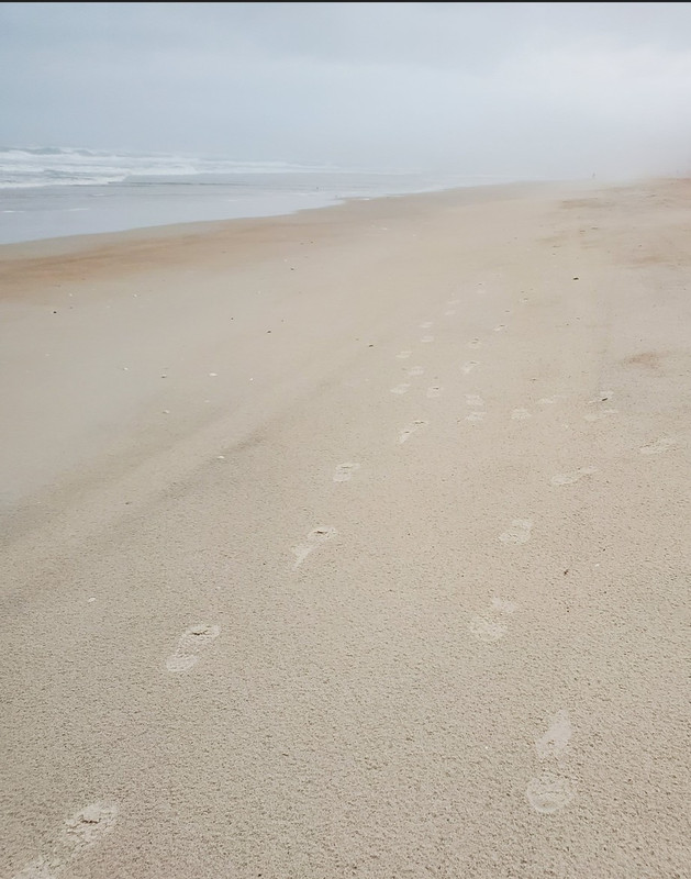 [Image: 20260324Fl_Ocean191523.jpg]