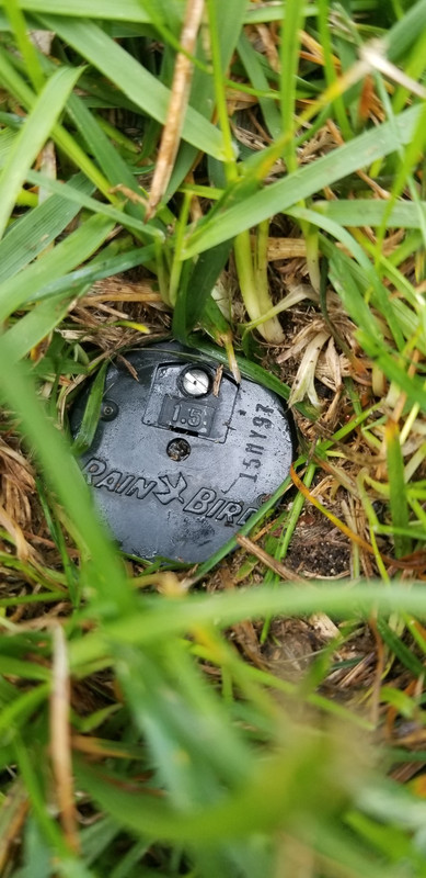 How To Fix A Rainbird Sprinkler Head That Wont Rotate: Quick Solutions