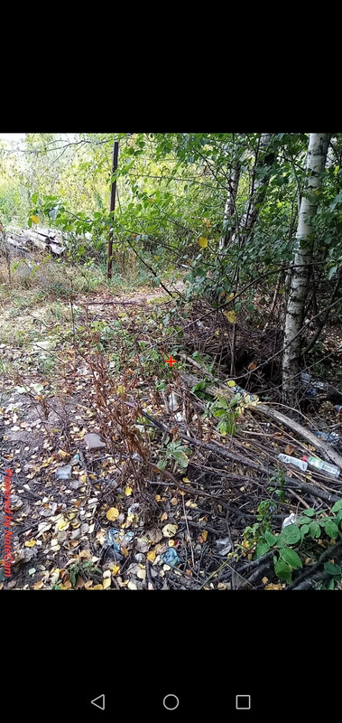 Screenshot_20250928_172329_com.android.gallery3d