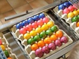 Как в Германии красят пасхальные яйца