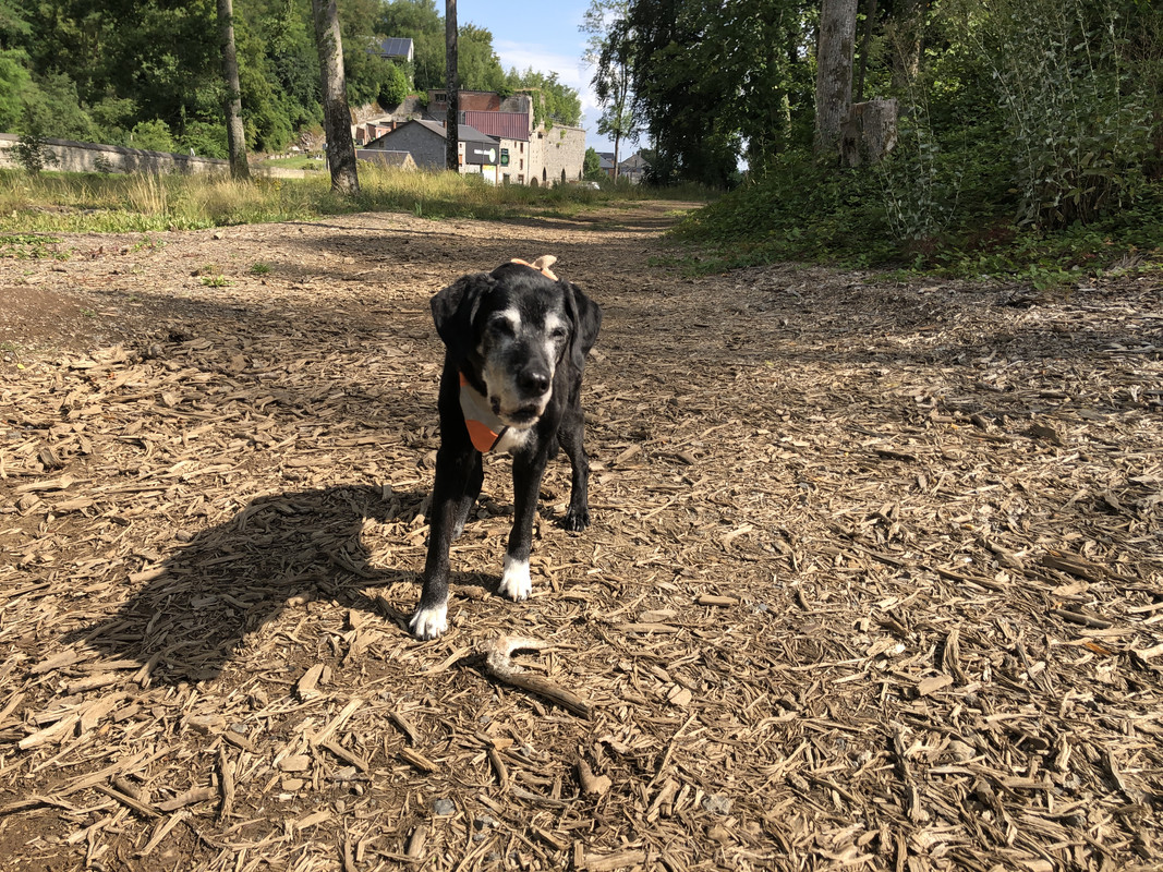 CB33EEB2-5463-4741-92B9-1C0CE1578D8E