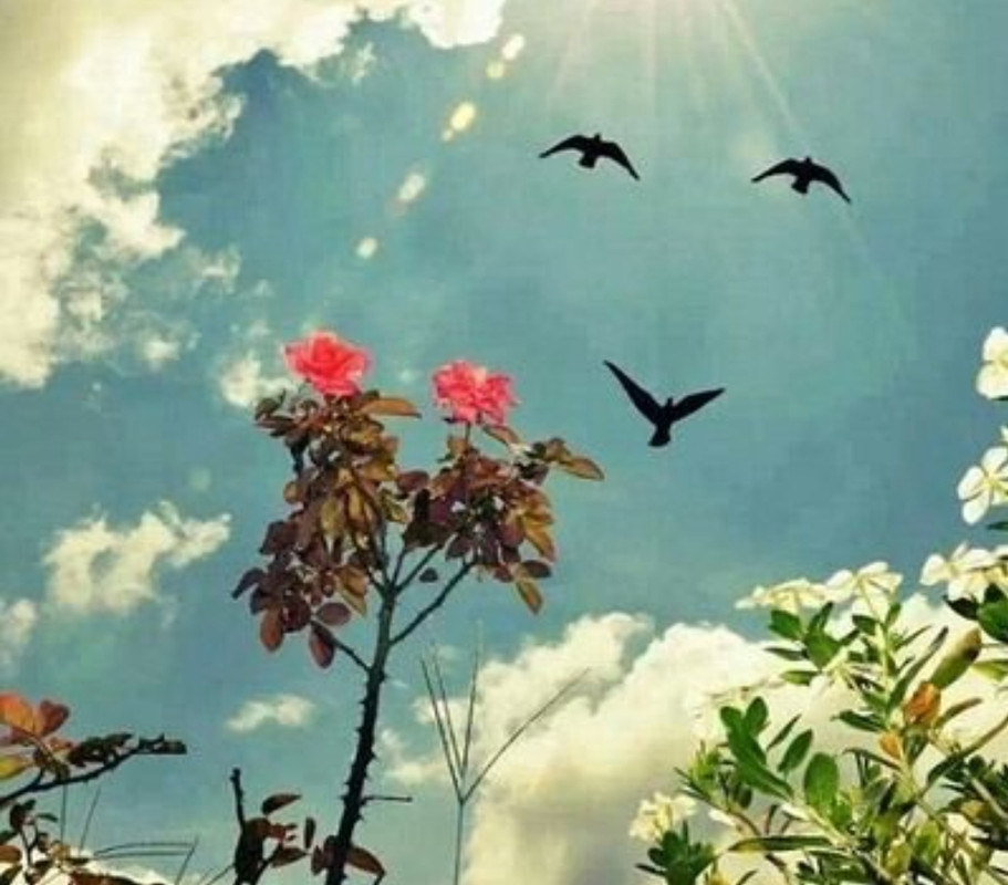 IMG_٢٠٢١٠٧٠٣_١١٢٤٢١