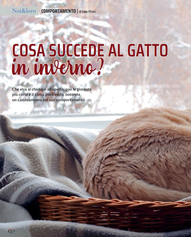 QuattroZampe Gen 2022 (7)