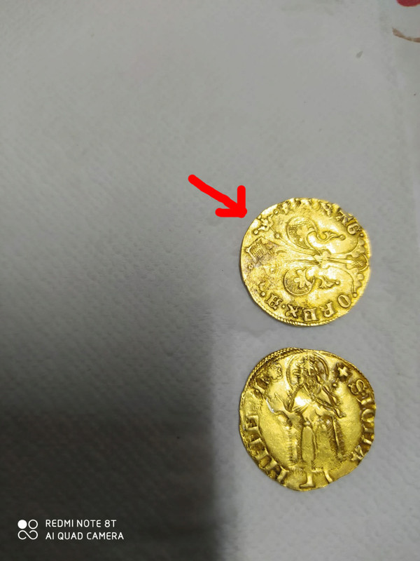 Florín de Alfonso V de Aragón. Valencia Whatsa10