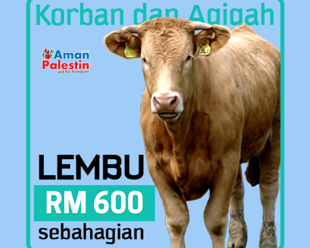 Seruan Korban Kecemasan Akikah Di Yaman