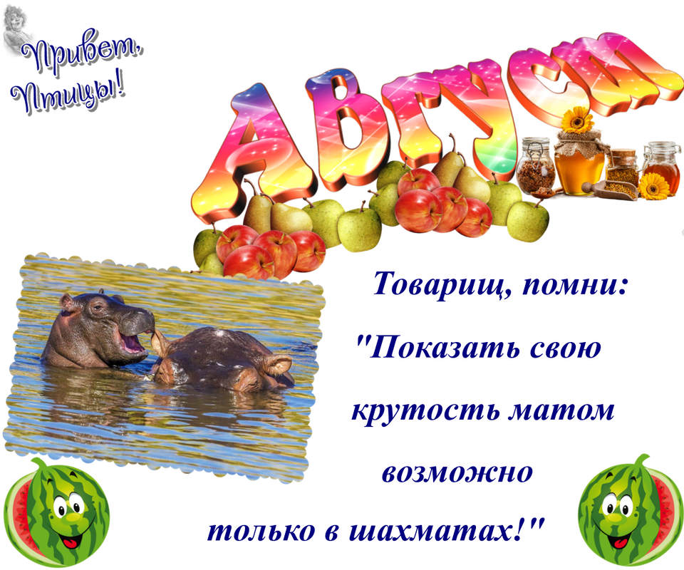 https://i.postimg.cc/zD2fDhXc/13-08.png