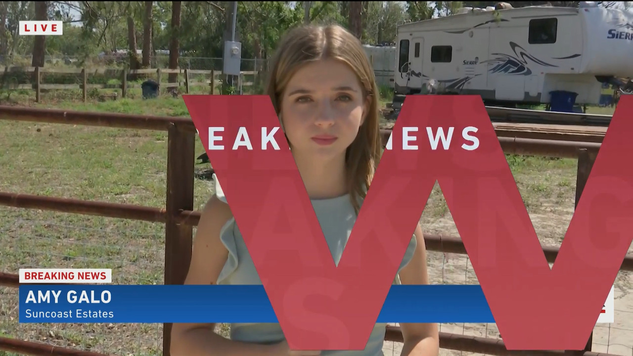 04.16 - 16.30.00 - WINK NEWS at 11 30am  ᴺᵉʷ. Midday news..ts_snapshot_09.33.721