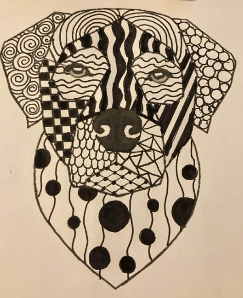 640385269 122156947862715895 6667498843364299845 n