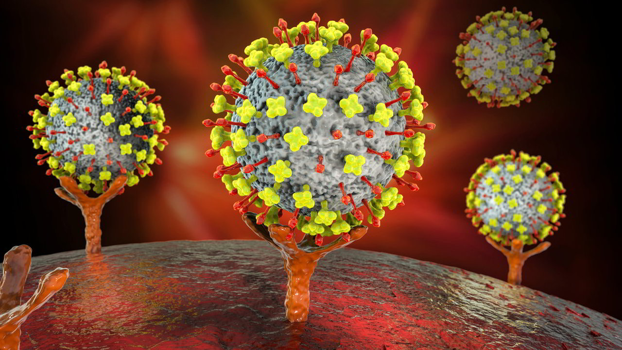Scoperto in Cina un nuovo VIRUS che si trasmette da Animali a Umani Esteri