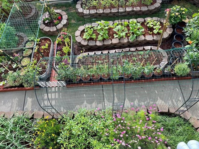 [Image: 5-BE94177-41-CC-41-D4-B965-07-A1-DED87-D8-E.jpg]