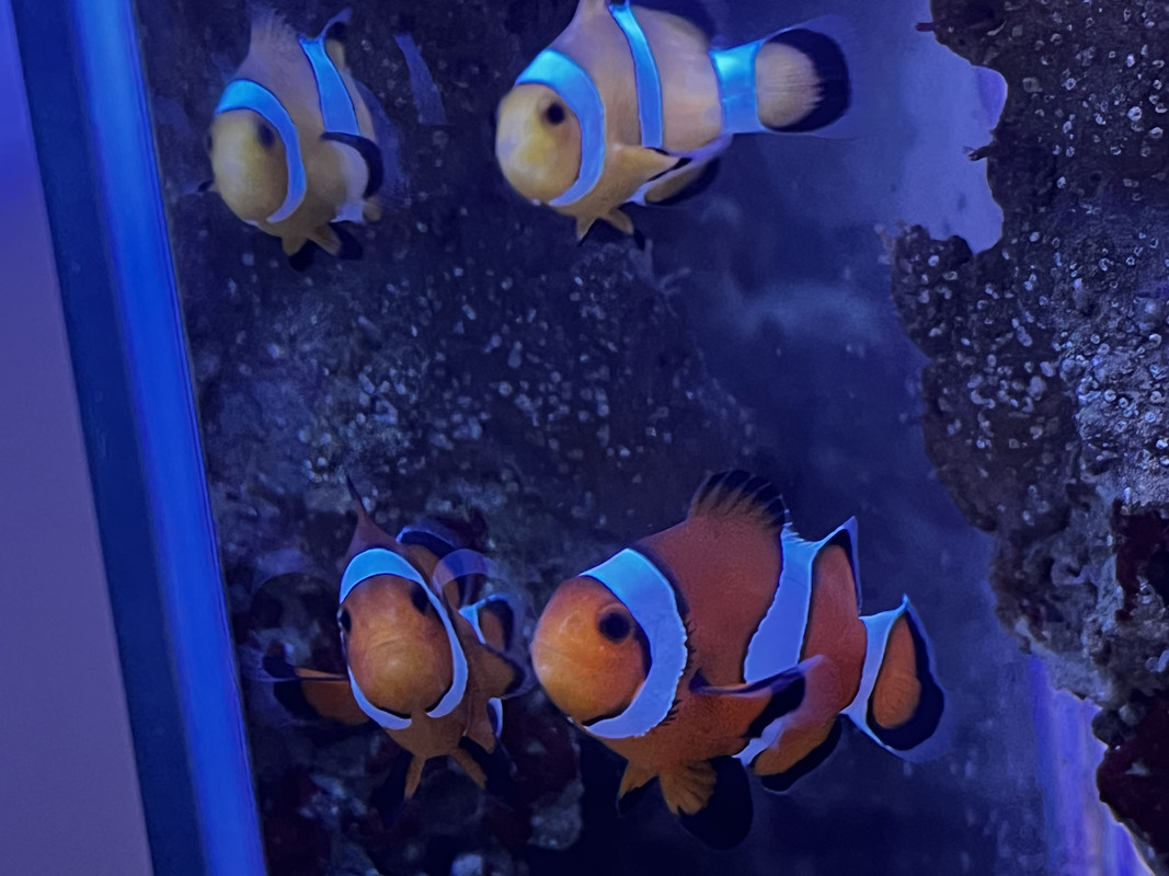 9D79ABB8-0825-4D2A-A219-B65CD1871918