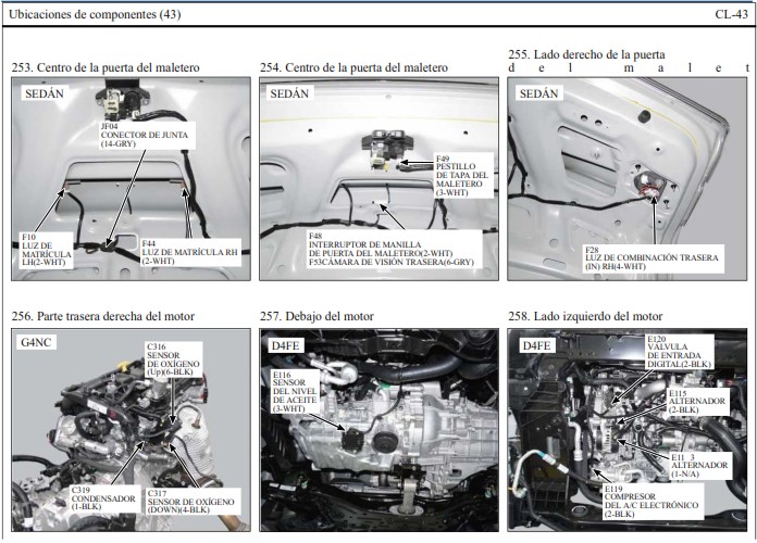 COMPONENTES43