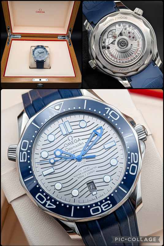 Collage 2026 03 04 22 36 12