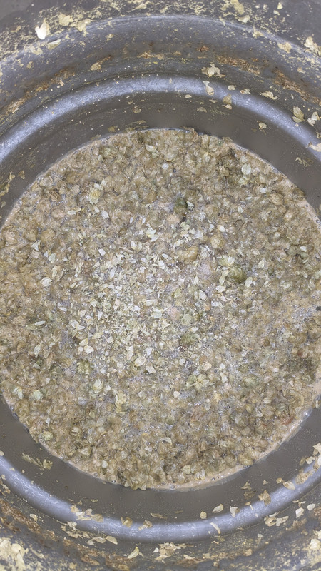 PXL_20240413_135046142