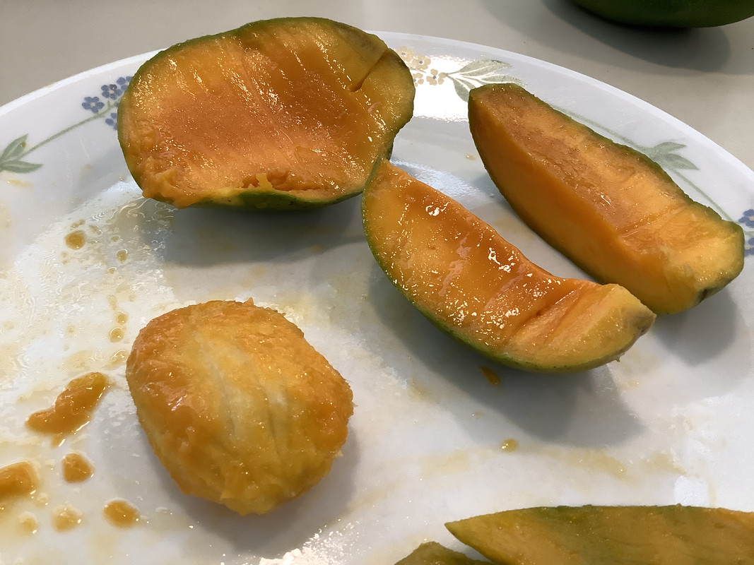 E2E3B89E-37F4-463F-A72B-3D0C6780AB11