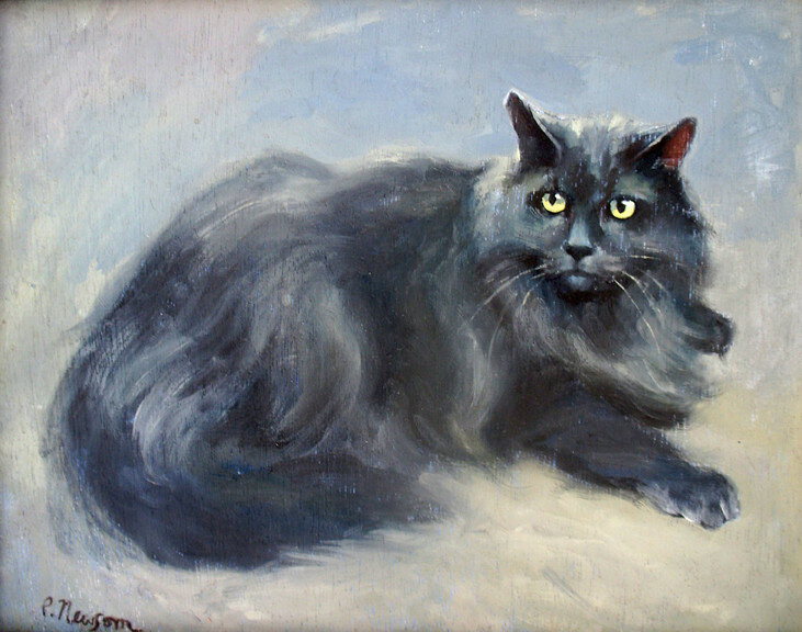 4-grey-cat72