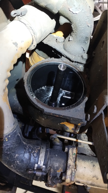 IMG 20250304 153723628