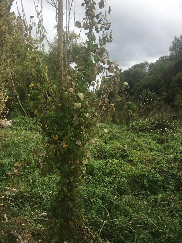 47C34C7A-317A-4EEF-B427-BB5283631ADE