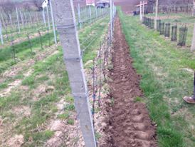 12895431_10204458677225218_904362578_n