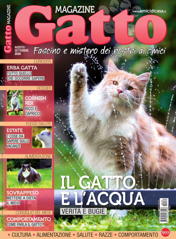 Gatto Magazine – Agosto 2020