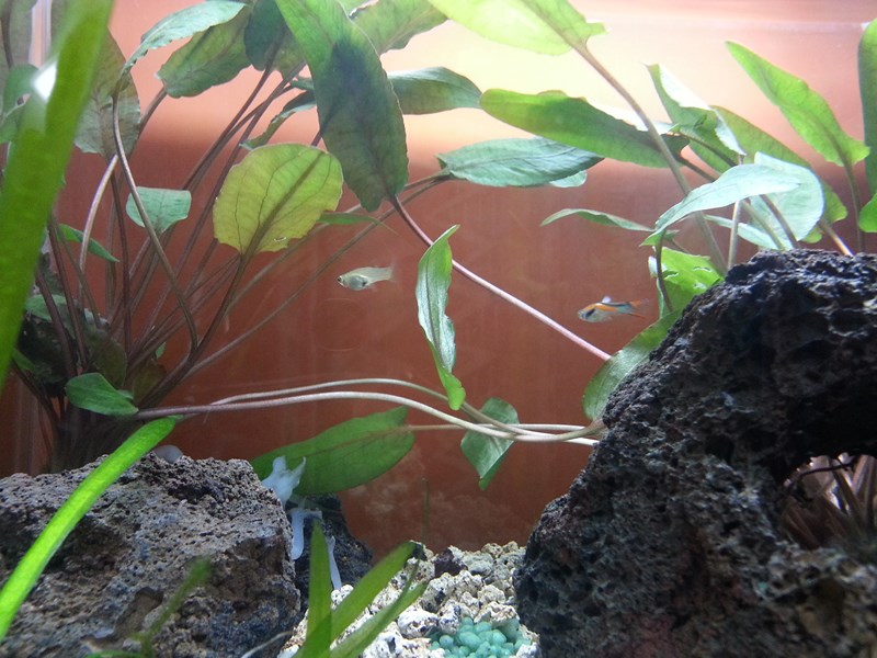 20130918_193057 (Copia)