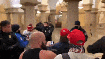 ef1a353c-be80-44d8-96c8-39445ff06a45.gif