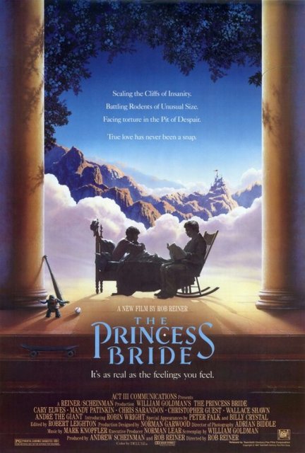 Narzeczona dla Księcia / The Princess Bride (1987) MULTi.2160p.UHD.BluRay.Remux.SDR.HEVC.DTS-HD.MA.5.1-fHD / POLSKI LEKTOR i NAPISY