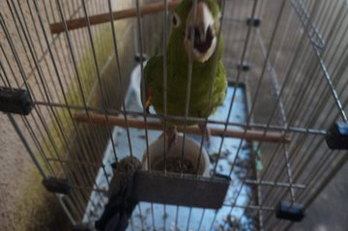 #37 FpGb2tfX0AEZnwk (3).jfif .jfif