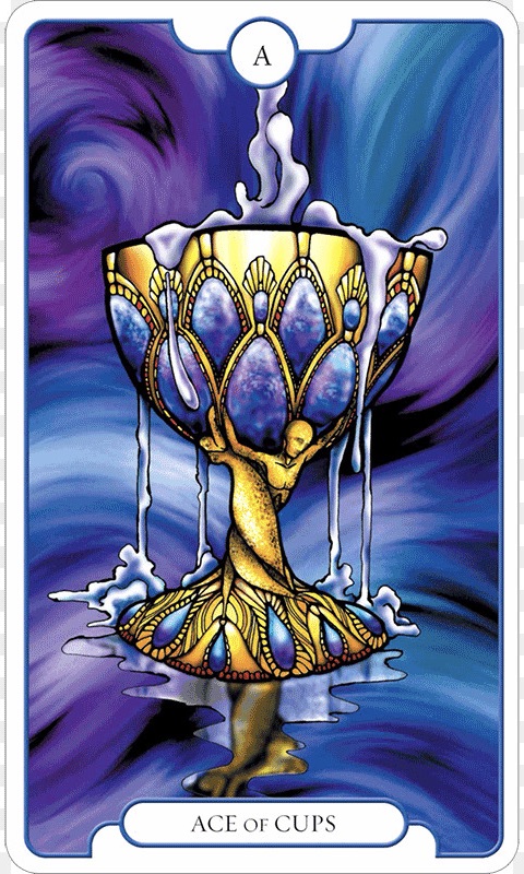 71F4B471-74A3-490C-986E-F82903FEB7A3_1_201_a