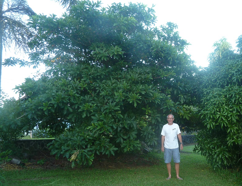 Kim standing in front of tree