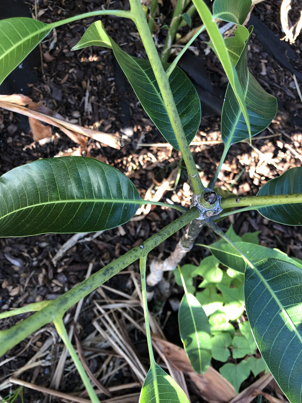 01F52F45-3CF9-46F0-9A1E-118437734CC7