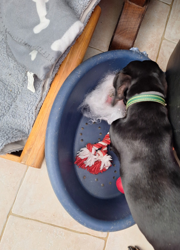 [Image: 20240914-135352.jpg]