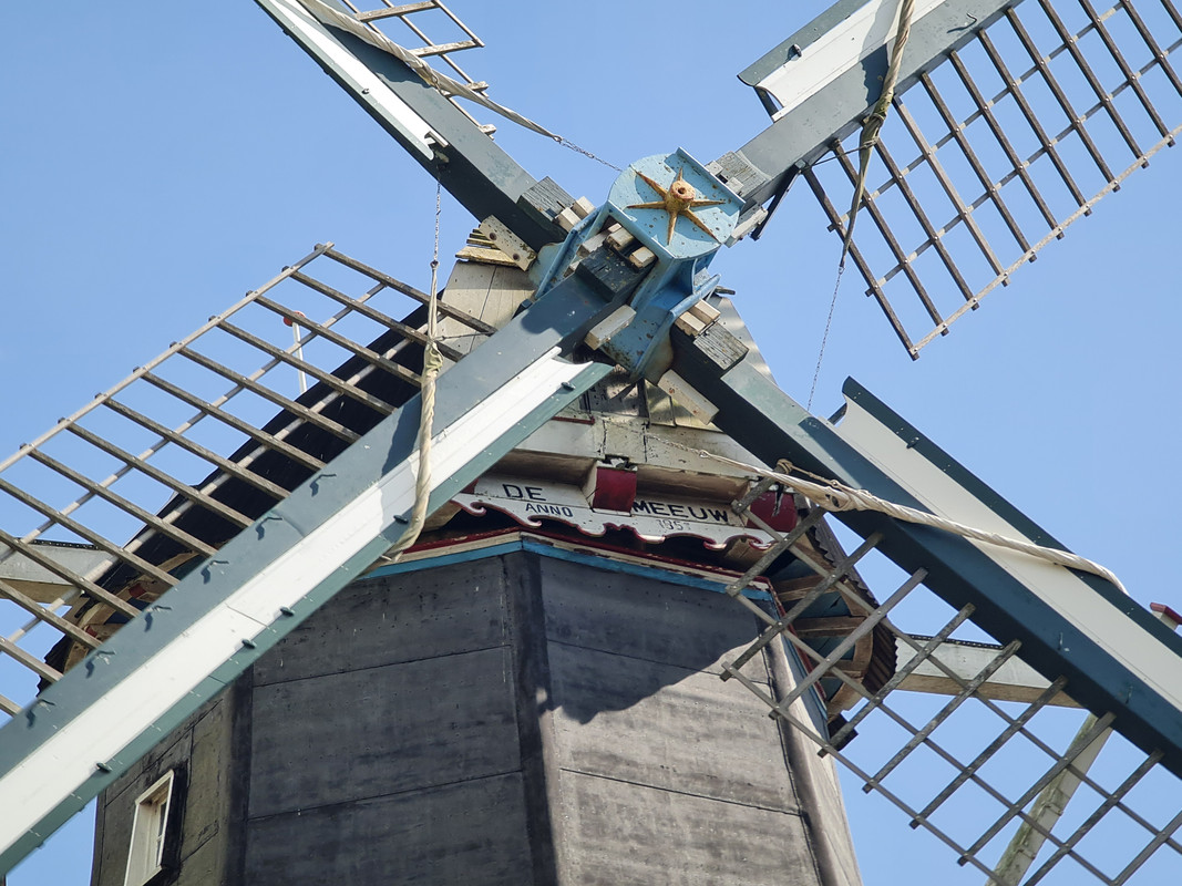 Pieter Zuijkerbuijk, De Meeuw 01 Garnwerd 31-08-2023