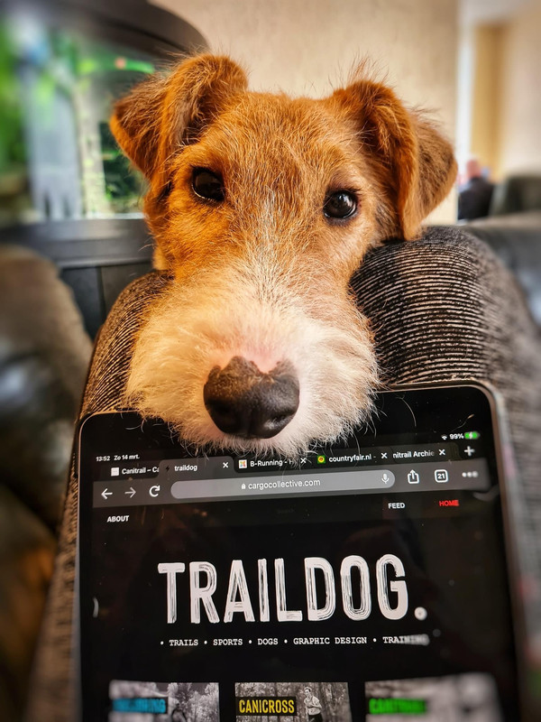 C9F4FC2E-FEA5-4319-8FB5-9FE653500F83