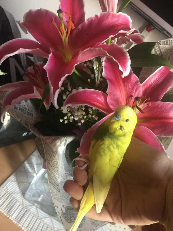 237F7E25-1FF8-4F08-B12C-4077CA0F4A47