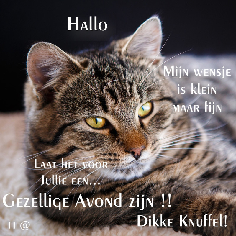 3E5E4E47-1DE7-449F-AF98-428E5C091FA2