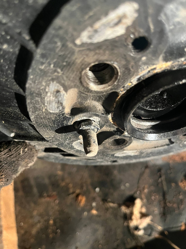 photo 2 2025 11 26 00 21 45