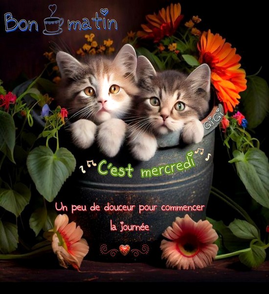 b1f01c1238ab4c52c9c4266b6737443a