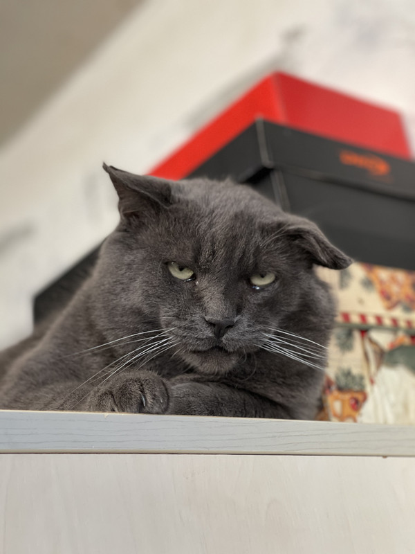 14B2F913-DA30-4DE5-A85E-558DB5B49C99